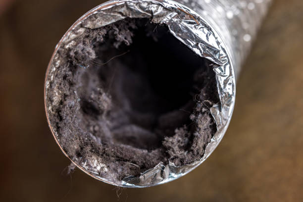 Best Commercial HVAC Duct Cleaning  in Ferris, TX